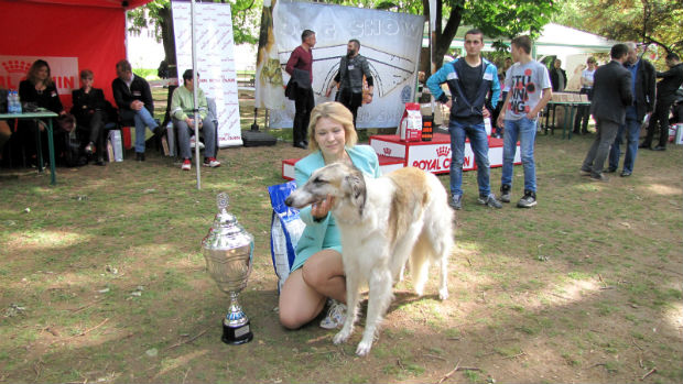 Лена из Москве победник изложбе паса у Врању
